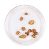 Lot of Gold Nuggets 1.89 Grams Total Weight