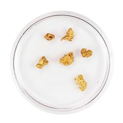 Lot of Gold Nuggets 2.19 Grams Total Weight