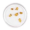 Image 1 : Lot of Gold Nuggets 2.19 Grams Total Weight