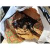 Image 2 : LOT OF RADIO TUBES, VINTAGE ROTARY PHONE AND RECORDS