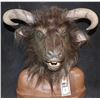 Image 1 : CHRONICLES OF NARNIA THE PRINCE CASPIAN MINOTAUR WARRIOR SCREEN USED HEAD MASK