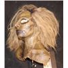Image 2 : ZOMBIE APOCALYPSE IN LAS VEGAS SCREEN USED FULL HEAD MASK WITH NECK D