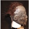 Image 2 : ZOMBIE APOCALYPSE IN LAS VEGAS SCREEN USED LATEX FACE MASK WITH WIG 14
