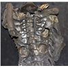 Image 3 : ZZ-CLEARANCE ALIEN VS PREDATOR SCREEN USED FULL BODY SUIT LESS THAN COMPLETE