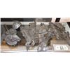Image 3 : ALIEN VS PREDATOR ANIMATRONIC ALIEN QUEEN TAIL RIG SCREEN USED