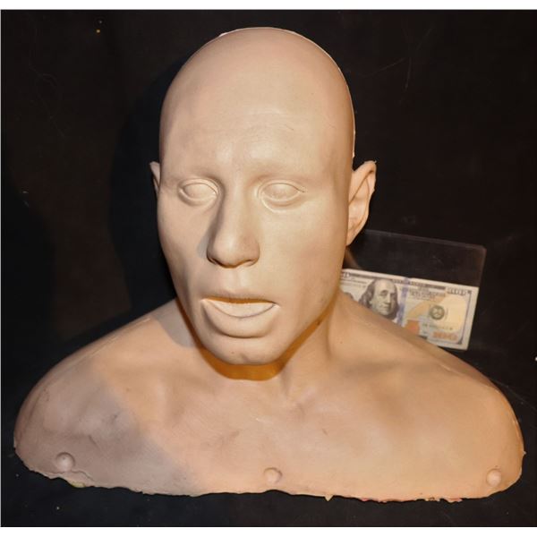 SILICONE FULL BUST BLANK CANVAS 1001 USES MASK WIG FORM MAKE UP AND HAIR PUNCH PRACTICE ETC