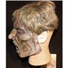 Image 2 : ARMY OF THE DEAD SCREEN USED LATEX FACE MASK WITH WIG 2