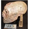 Image 2 : THE TIME MACHINE SCREEN MATCHED HERO MORLOCK ANIMATRONIC HEAD