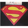 Image 1 : SUPERMAN & LOIS HERO MASTER CHEST GLYPH