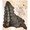 Image 1 : ALIEN RESURRECTION SCREEN MATCHED ALIEN QUEEN TOP SPINE