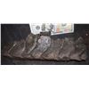 Image 1 : ALIEN RESURRECTION XENOMORPH TAIL PIECE 1