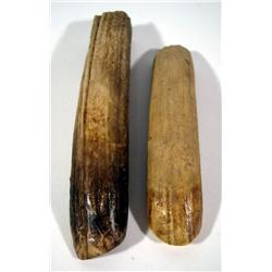 TWO TOOTH SCRAPERS