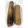 Image 1 : TWO TOOTH SCRAPERS