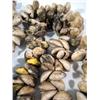 Image 2 : A HIGHLANDS BODY ORNAMENT