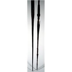 TWO BOUGAINVILLE SPEARS
