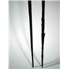 Image 3 : TWO BOUGAINVILLE SPEARS