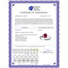 Image 2 : Genuine 1.15 ctw Ruby Ring 14KT White Gold - REF-24F5Z
