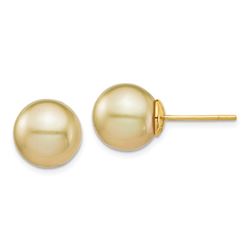 14k Yellow Gold Golden South Sea Pearl Post Earrings - 10-11 mm