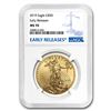 Image 1 : 2019 1 oz Gold American Eagle MS-70 NGC (Early Releases)