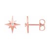 Image 1 : Natural 0.04 CTW Gold Star Diamond Earrings 18KT Rose Gold