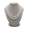 Image 2 : White Akoya Triple Strand Pearl Necklace, 6.5-7.0mm