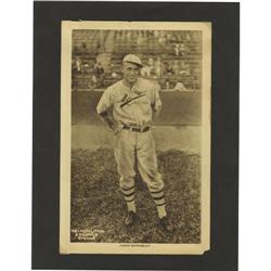 1931 St. Louis Cardinals Signed Photographic Pre