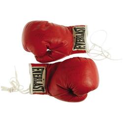 1977 Muhammad Ali Fight Worn Gloves from Shavers