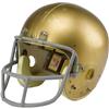 Image 1 : 1977 Notre Dame Game Worn Helmet. Golden "Ridde