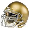 Image 1 : 1984 Notre Dame Game Worn Helmet. Fine relic fr