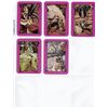 Image 1 : FIVE Dark Crystal Trading Cards   #16, #34, #45, #60 and #62