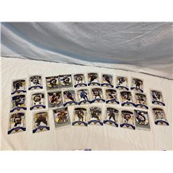 Vernon Vipers hockey cards