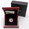 Image 1 : 2019 $300 Maple Leaf Forever 1oz Fine Platinum Coin. COA #073 out of only 250!!! (TAX Exempt)