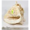 Image 1 : CONCH SHELL