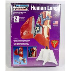 NEW HUMAN LUNG SCIENCE MODEL KIT