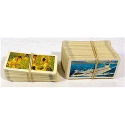 COLLECTION OF RED ROSE TEA CARDS NATIVES SHIPS