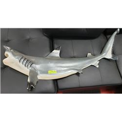 BABY FIBERGLASS SHARK FROM 70'S FISH STORE