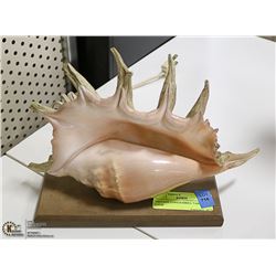 VINTAGE CONCH SHELL TABLE LAMP