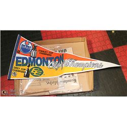 FLAT WITH VINTAGE LARGE EDMONTON CITY