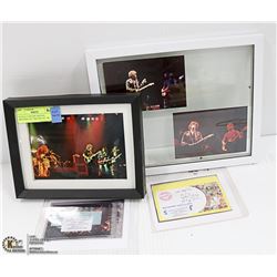 ACTUAL CONCERT PHOTOS, SKYNYRD 1977 AND DYLAN 1981