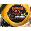 Image 4 : HARRINGTON AH250 P AIR CHAIN HOIST