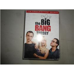Big Bang Theory Season 1