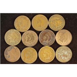 11 ASSORTED 1900'S INDIAN HEAD CENTS
