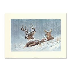 Larry Fanning (1938-2014), "Bedded Down - Whitetail Deer" Limited Edition Lithog