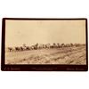 Image 1 : Mule Train Hauling Ore of the Congress Mining Co., Original Photo, c1892-5  [126926]