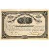 Image 1 : South Pacific Mining Company Stock Certificate  [113894]