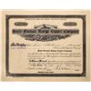 Image 1 : Butte = Furnace Range Copper Company Stock, Furnace Creek, Inyo County, California  [123990]
