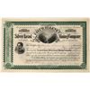 Image 1 : Coeur d' Alene Silver-Lead Mining Company Stock, Burke, Shoshone County, Idaho, 1894  [123864]