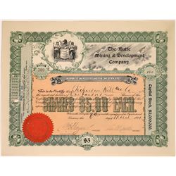Butte Mining & Development Company Stock