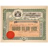 Image 1 : Butte Mining & Development Company Stock
