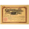 Image 1 : Rare Mary Anderson Mining Company Stock of Castle Montana, 1891  [123875]